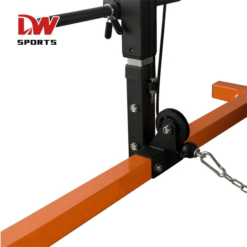 DW SPORTS Multifunctional Weightlifting Squat Rack with Lat Pull Down  System Strength Equipment with Lat Pull Down Machine