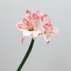 Pink white