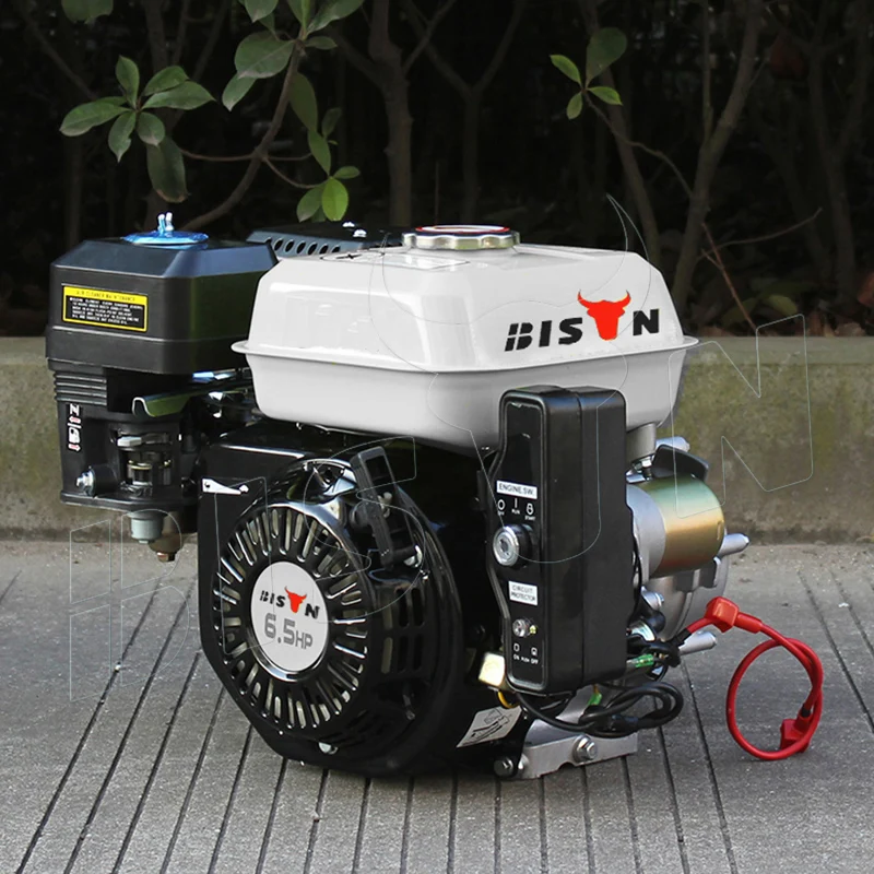 BISON Small China 168f 1 6.5hp Gasoline Engine with Clutch