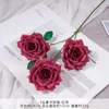 TY-3 Mocha Rose Red