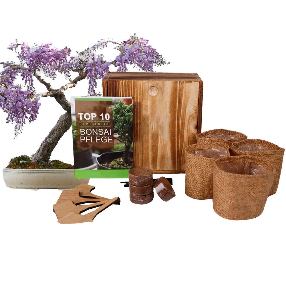 Alibaba.com: FUN BS23003 Bonsai Tool Set for Gardening, Desktop & Garden  Use : Ideal for supermarkets seeking reliable gardening products and unique  gift options.