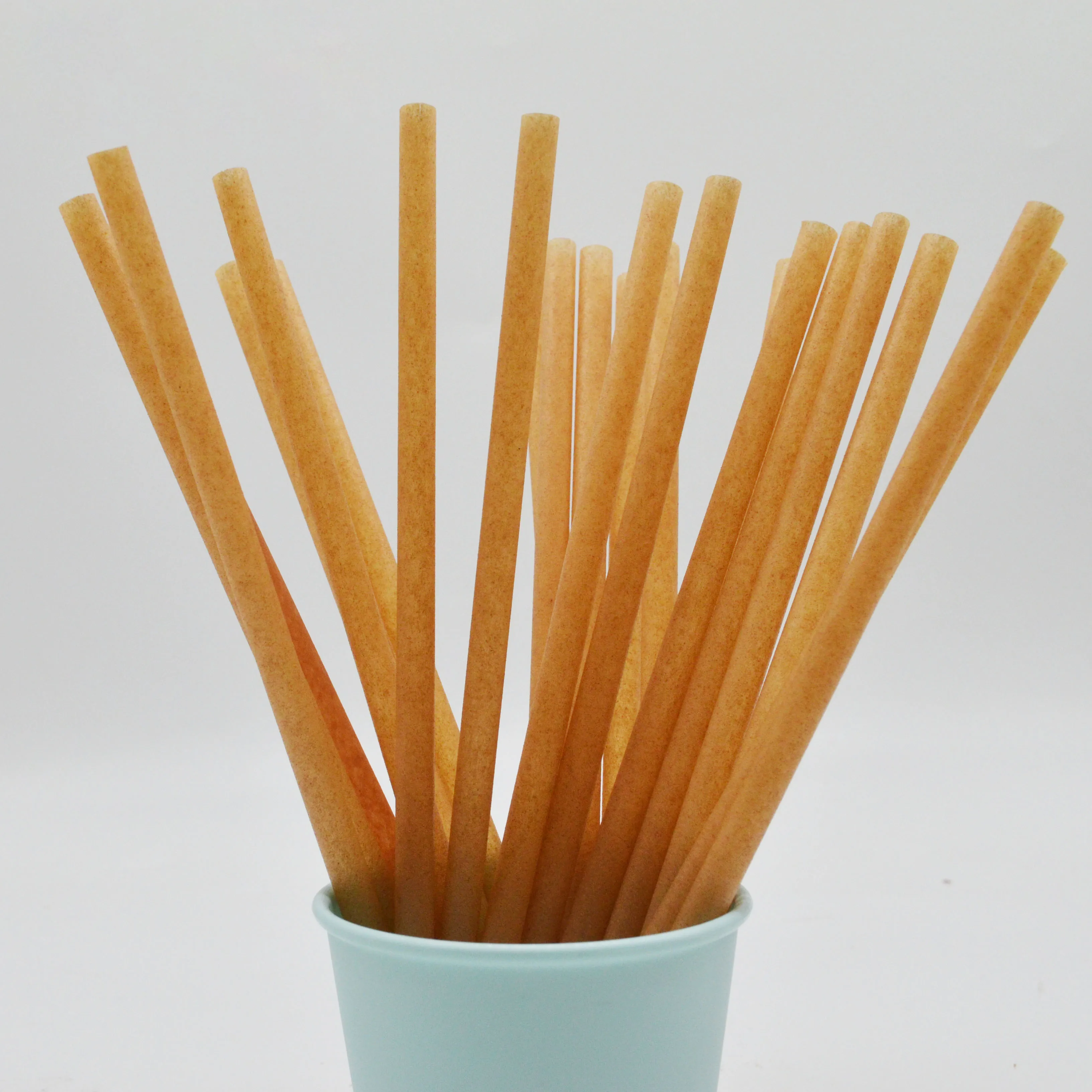 Wholesale 5 6 7 8 10 12mm Eco Friendly Sugarcane Bagasse Disposable