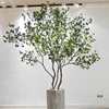 1 # Dépôt de pieris japonica artificiel