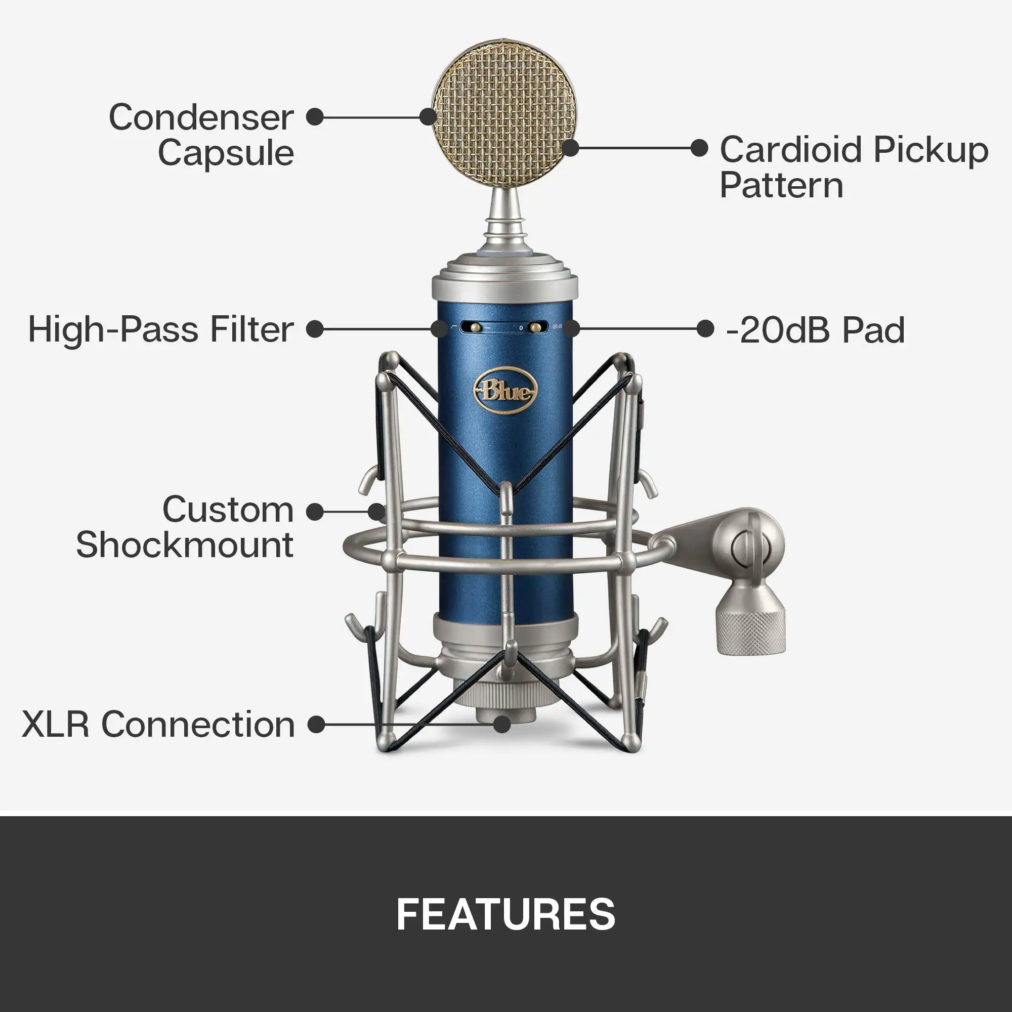 Bluebird hotsell Microphone