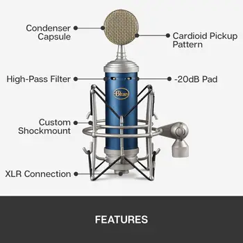 Blue Microphones BLUEBIRD SL マイク BLUE MICROPHONES Bluebird SL マイク・レビュー：バランスが良くて