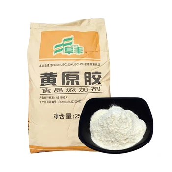 Xingyu Factory price  Additives 25kg bag Thickener xanthan gum powder 80 mesh 200 mesh 11138-66-2 cosmetic grade