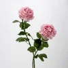 Lulu lianmei-rose-violet