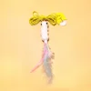 Colored Feather Caterpillar
