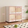 100*2-layer double-door