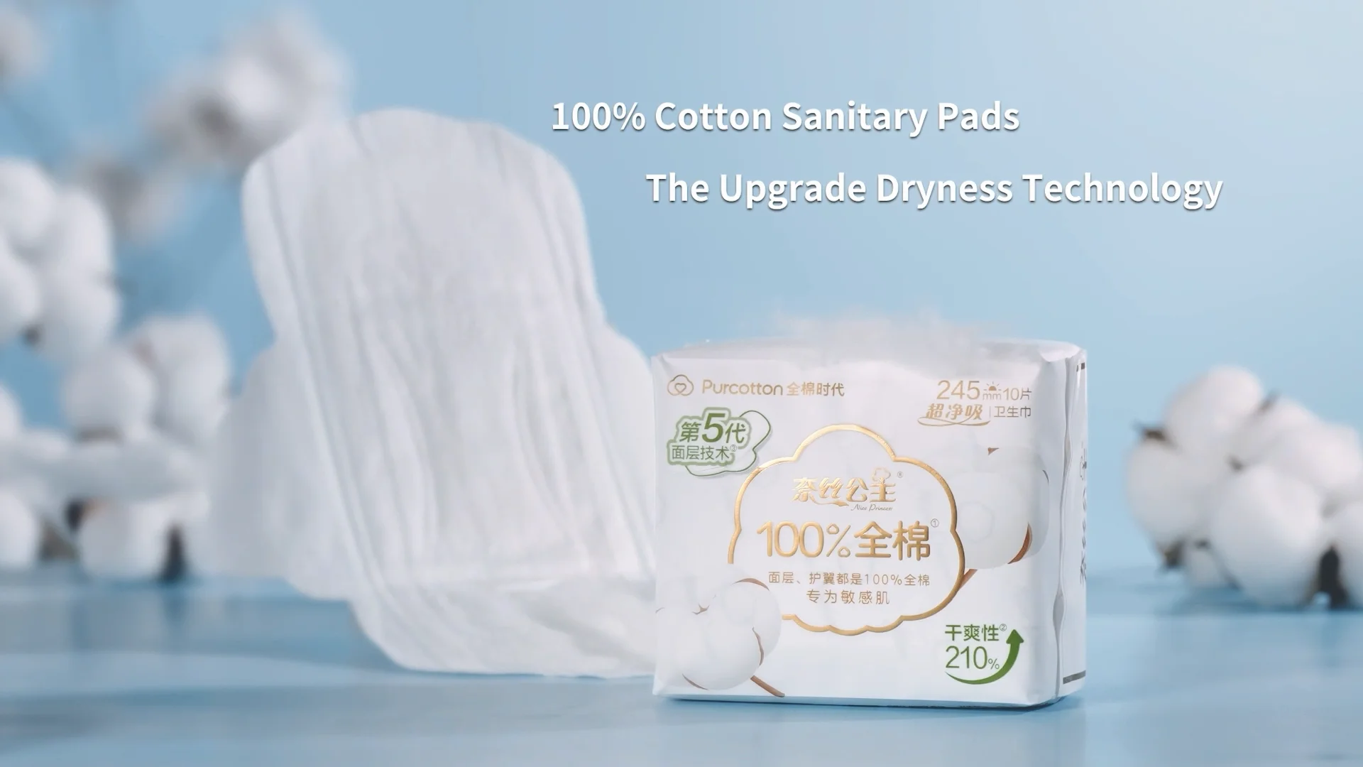 Purcotton Wholesale Eco Friendly Anti Leak Thailand Pads Day Time Use