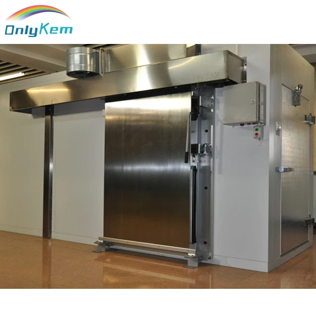 Cold Room Door for Cold Room Service Door Hinged Door for Walk-in Freezer Sliding Hinged Door Cold Room Cold Storage