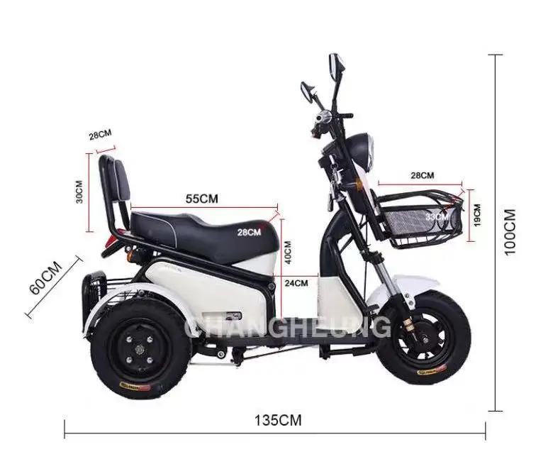 cheapest electric trike