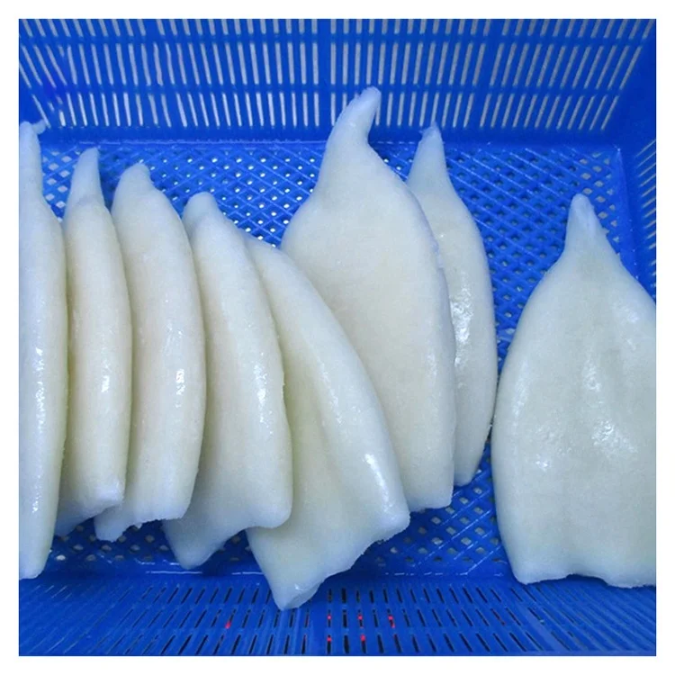 China factory wholesale supply frozen new arrived frozen squid u10