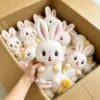 16 peluche (contattaci per il catalogo con oltre 6000 modelli)
