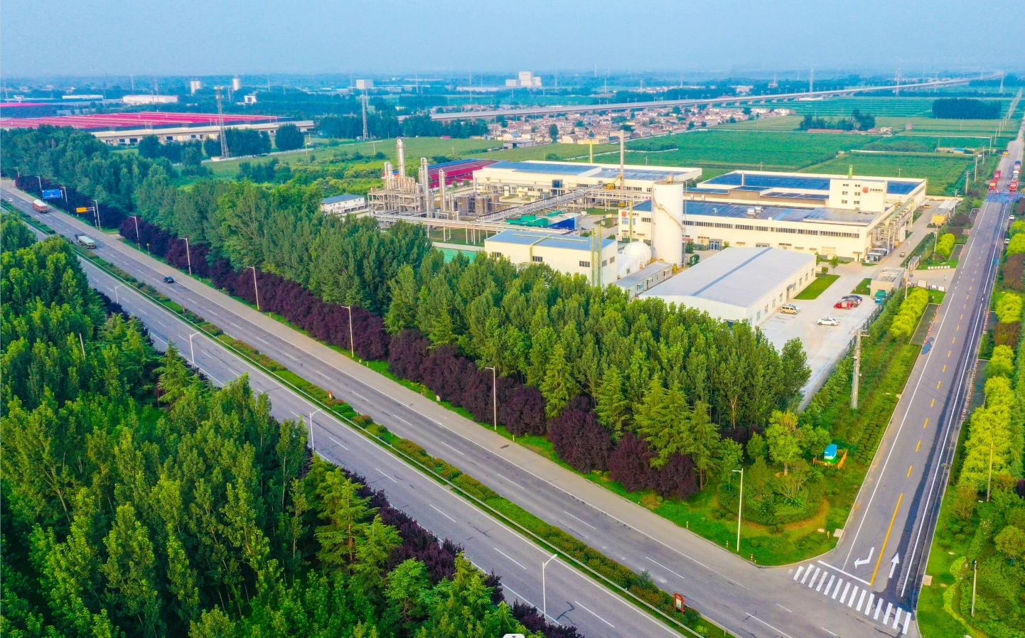 Shandong Focusfreda Biotech Co., Ltd. 1
