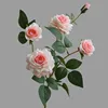 สีชมพู