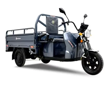 Jinpeng cargo tricycle excellent quality latest technology 60V 1000w Cargo environmental friendly electric tricycle