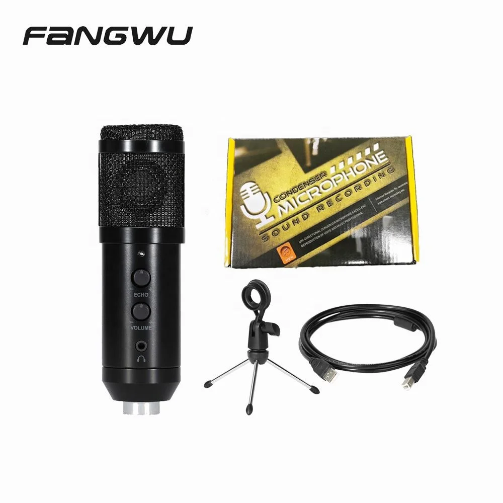 Fangwu China Mics of Studio Vocal Wired Mic