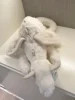Snow Dragon