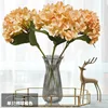 Hortensia individual naranja