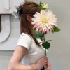 Dahlia de style européen avec dégradé rose et blanc
