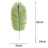 Areca palm-light color-extra-large leaves
