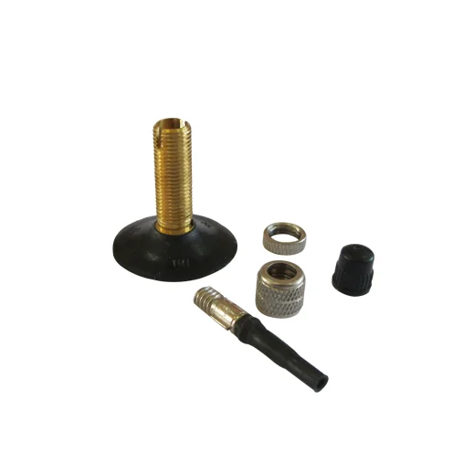 Valve Stem Changing An Inner Tube On A Road Bike Longly TR1