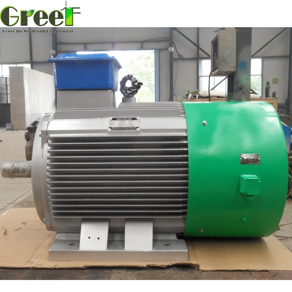 Groupe électrogène Diesel WEITER-ENERGY 7000W 220V à Aimant Permanent