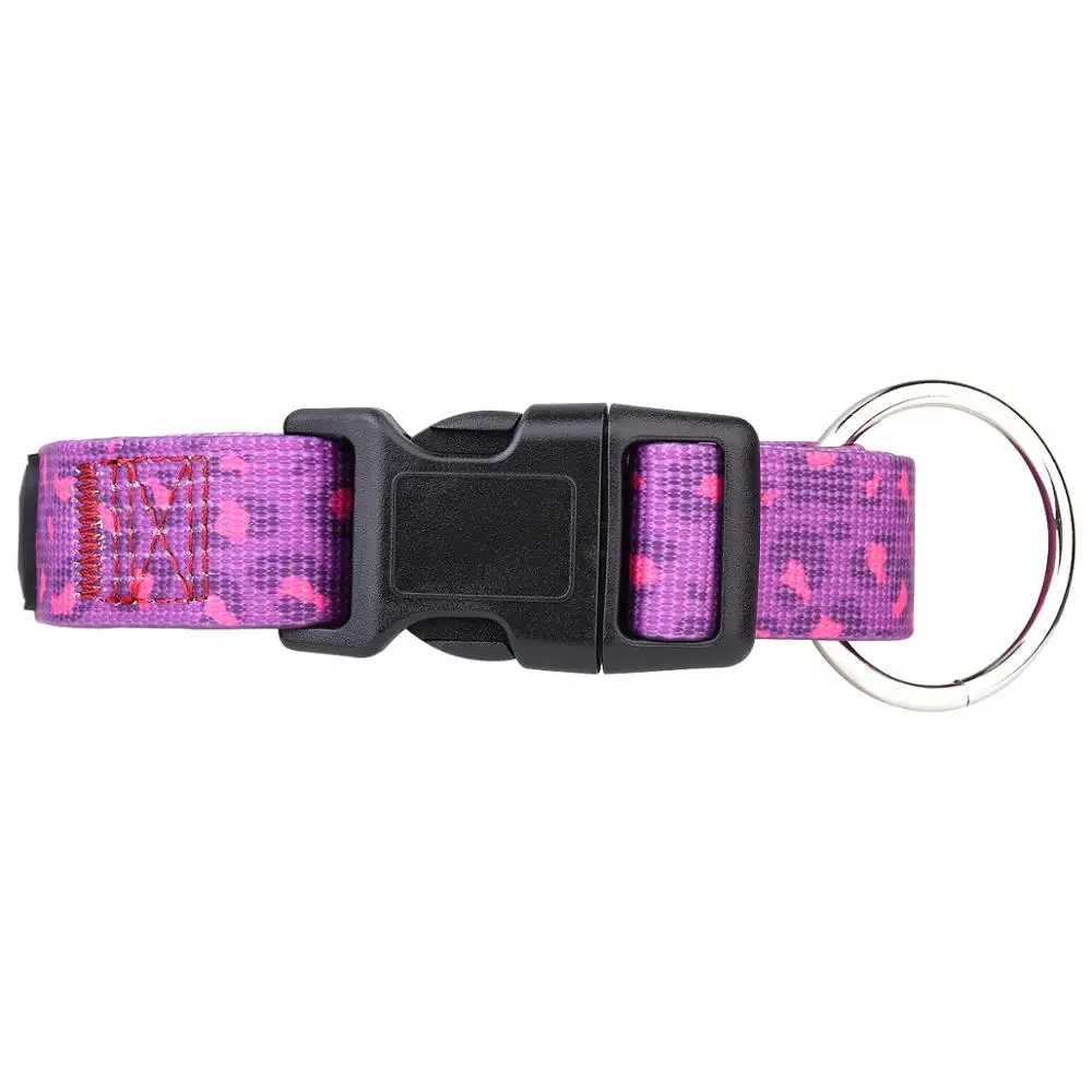 sporting dog training collars