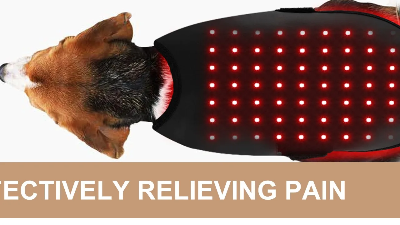 New Led Red Infrared Light Dog Clothes Animal Therapy Wrap Belt Red