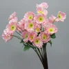 Poppy 1 branch