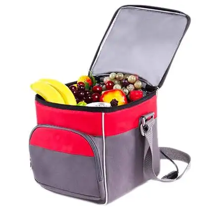 DC12V Portable Cooler Bag Best-Selling Electric Refrigerator for Camping RV Caravan Hotels Outdoor Use for Cars