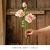 1 pink rose with burnt edges