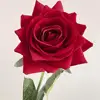 01-rojo