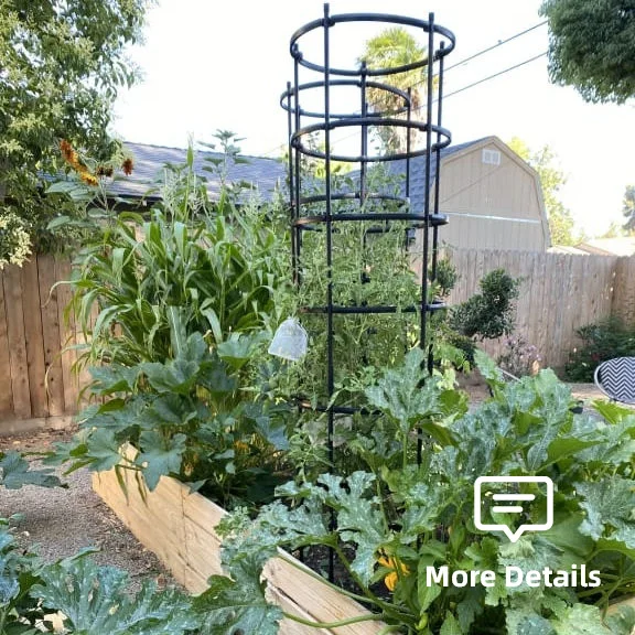 Meiwlong Jaula De Tomate 81 Cm – Kit Soporte Plantas Trepadoras Con Clips Y Lazos (Pepino, Rosal, Vid)