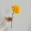 สีเหลือง