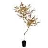 New nantianzhu red-110cm