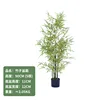 Yellow bamboo bonsai 90CM