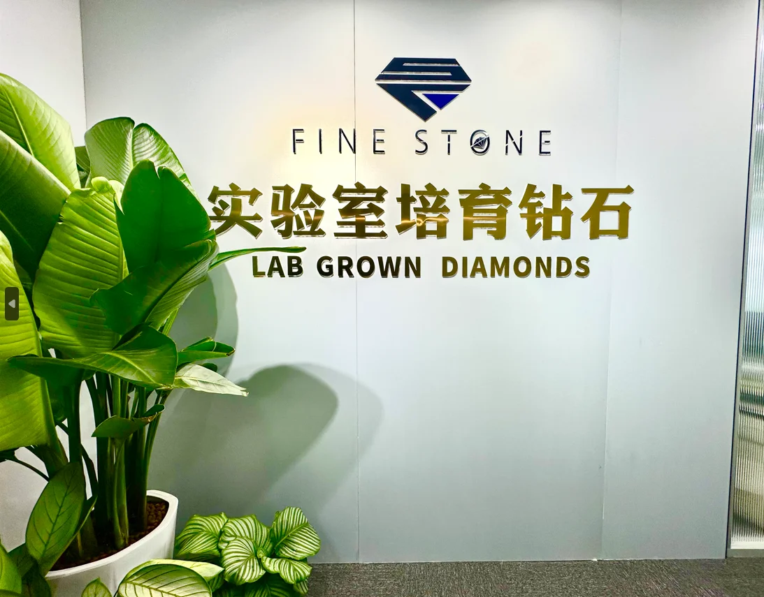 Henan Qishi Technology Co., Ltd. 2
