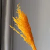 สีส้ม