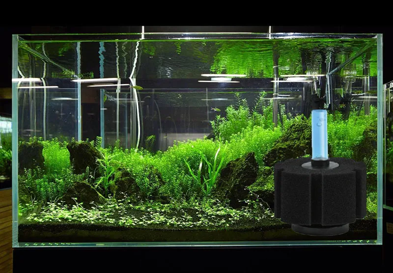 CNZ XY-180 Bio-Schwammfilter Für Aquarium – Luftbetriebener Filter Bis 4,5 Liter, 4er Pack Für Klare Wasserqualität
