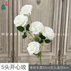 5-headed Happy Rose XH White