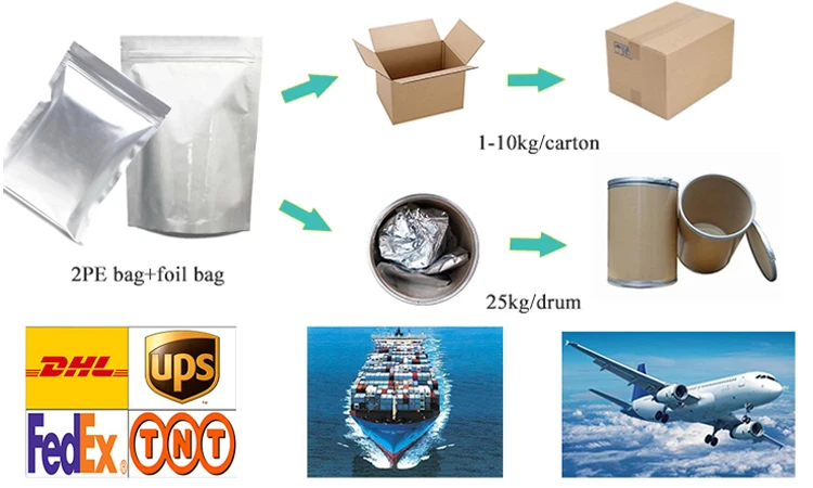 Free Sample Natural Frutescens Perilla Extract Purple Perilla Extract 10: 1 Perilla Leaf Extract Powder