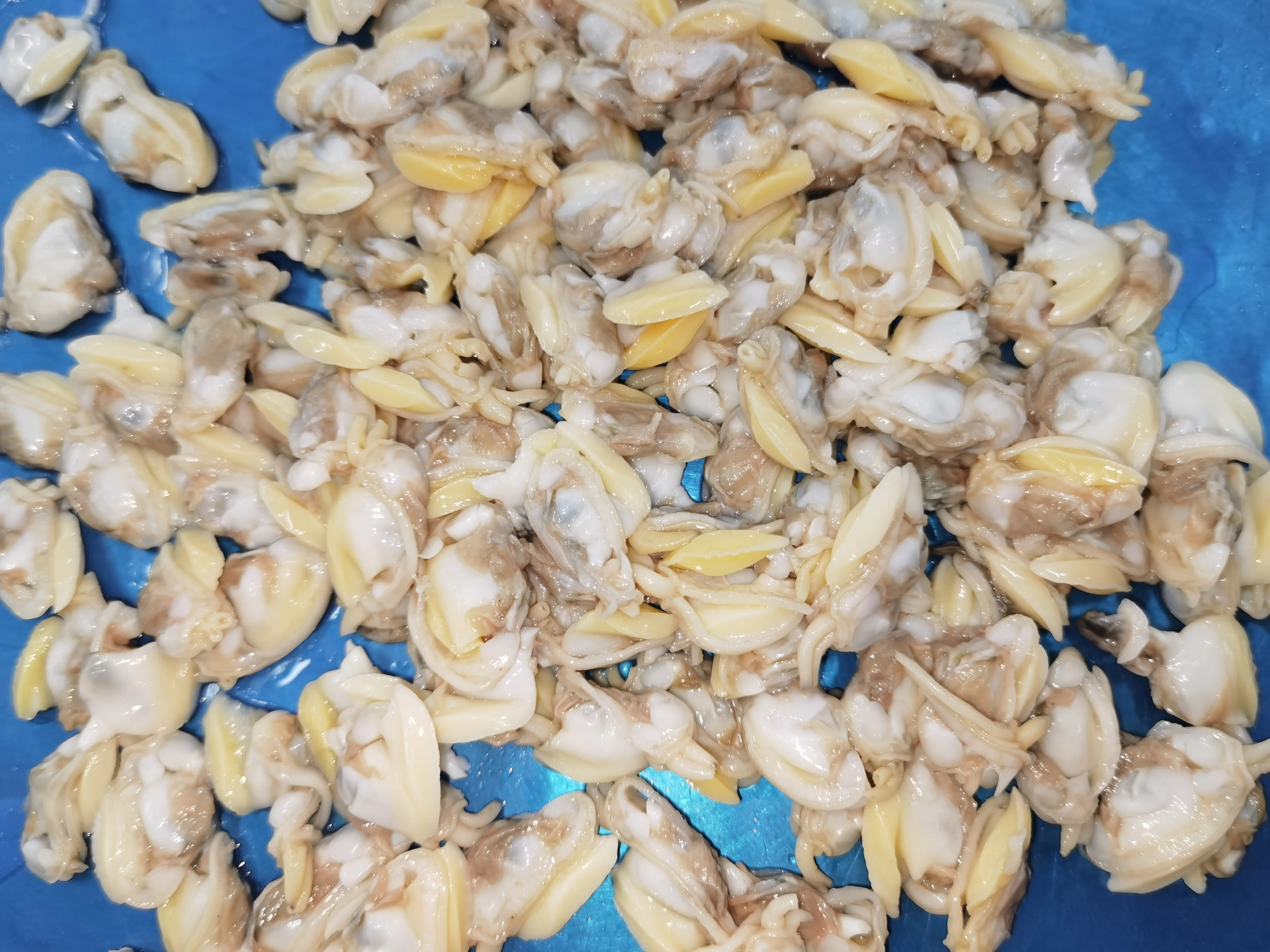 Frozen Clam Meat Chemical Free Buy Clam Meat,Frozen Clam Meat,Clam