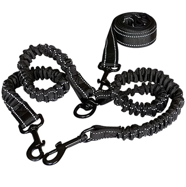 leash with two hooks