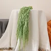 Verde chiaro, lunghezza orecchie: 50-80 cm