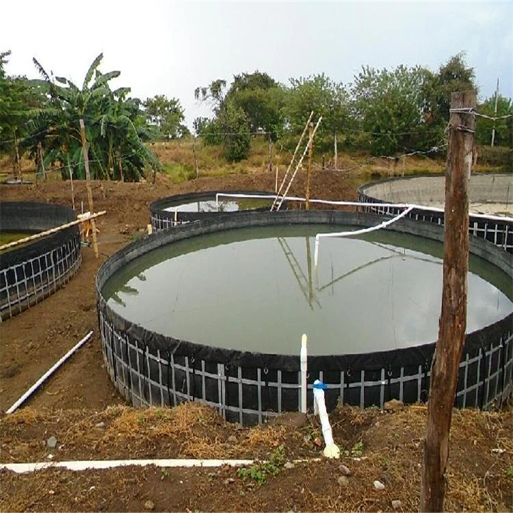 HDPE Geomembrane Manufacturers Outdoor Fish Pond Liner Fish Tanks Geomembrane Pond Lining Sheets for Fish Shrimp Farming