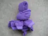Viola