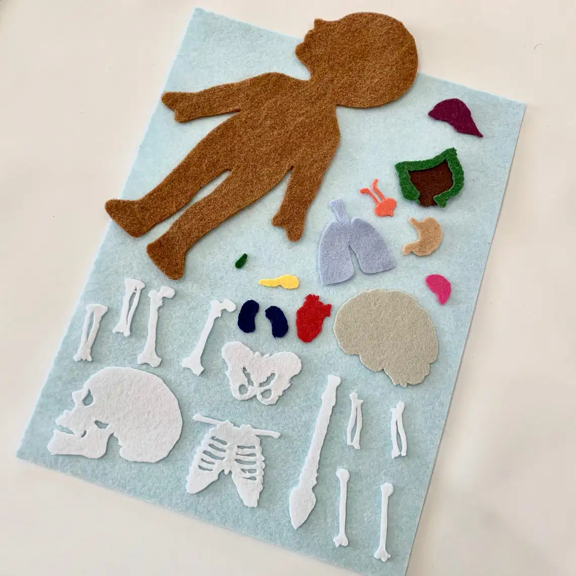 Handmade Activity My Body Puzzle 2023 Educational Toys Science Montessori Human Anatomy Felt Board