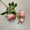 #4 Rose